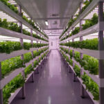 VERTICAL FARMING LED2